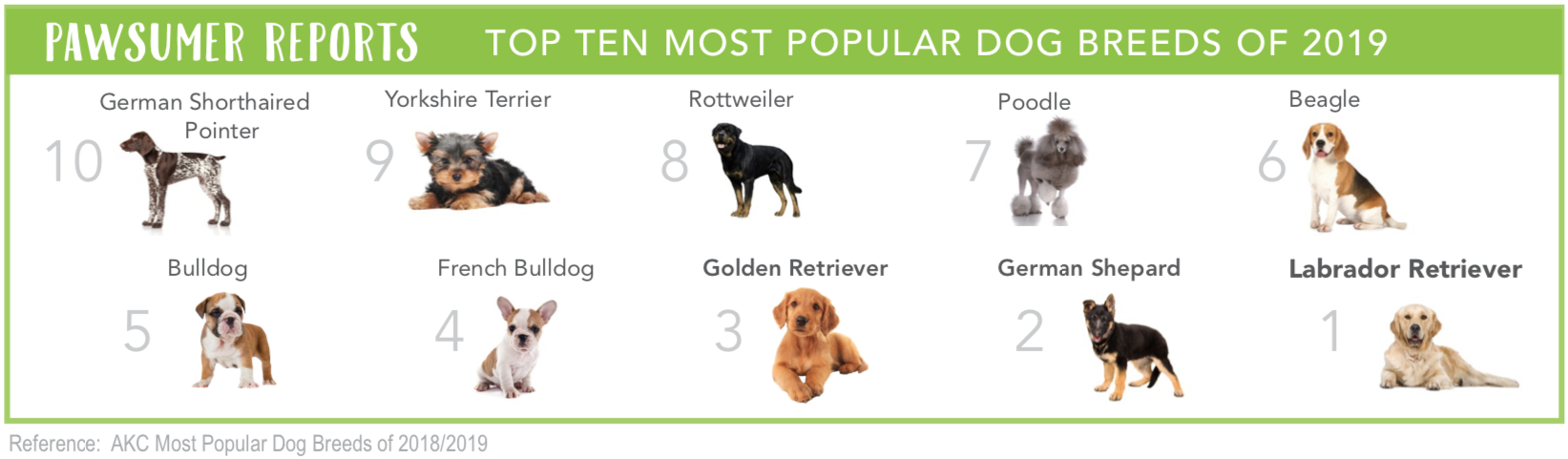 Top Ten Most Popular Dog Breeds of 2019 
